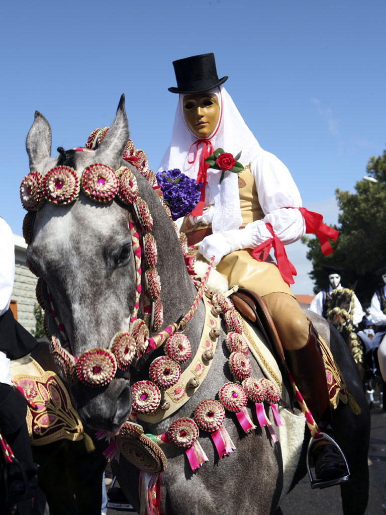 Carnevale a Cavallo – 4* Edizione - Oltre Free Press - Quotidiano di  Notizie Gratuite