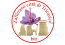 Eccellenze Agroalimentari d’Italia: Zafferano città di Tricarico, l’oro rosso made in Basilicata